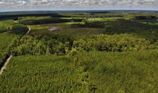 Photo of 10 acres of Timber and Residential Land for Sale in Suffolk County VA!