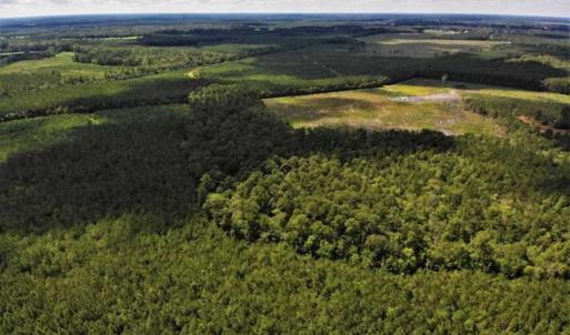 Photo of 10 acres of Timber and Residential Land for Sale in Suffolk County VA!