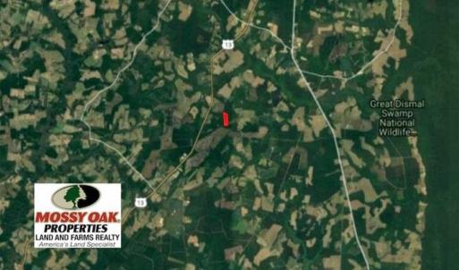 Photo of 10 acres of Timber and Residential Land for Sale in Suffolk County VA!
