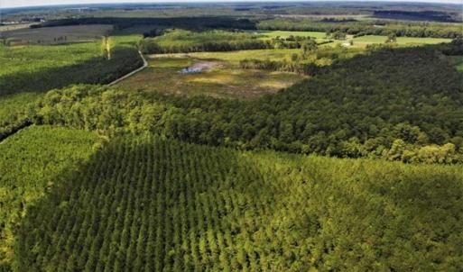 Photo of 10 acres of Timber and Residential Land for Sale in Suffolk County VA!