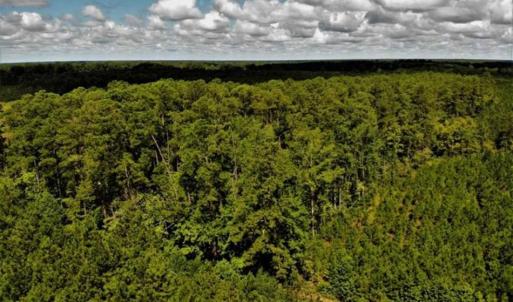 Photo of 10 acres of Timber and Residential Land for Sale in Suffolk County VA!