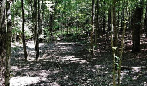 Photo of SOLD!! 6.25 Acres of Residential Land For Sale in Person County NC!