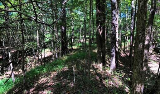 Photo of SOLD!! 6.25 Acres of Residential Land For Sale in Person County NC!
