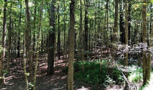 Photo of SOLD!! 6.25 Acres of Residential Land For Sale in Person County NC!