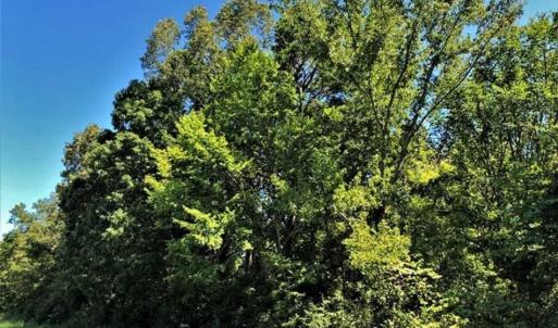 Photo of SOLD!! 6.25 Acres of Residential Land For Sale in Person County NC!