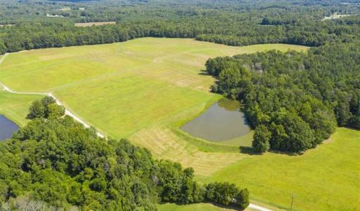 Photo of 12.16 Acre Homesite with Pond For Sale in Alamance County NC!