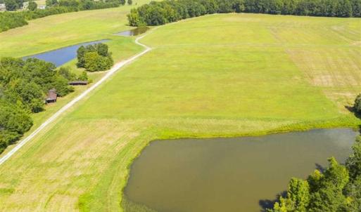 Photo of 12.16 Acre Homesite with Pond For Sale in Alamance County NC!