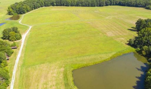 Photo of 12.16 Acre Homesite with Pond For Sale in Alamance County NC!