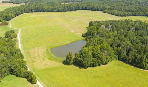 Photo of 12.16 Acre Homesite with Pond For Sale in Alamance County NC!
