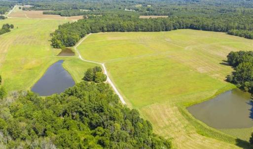 Photo of 12.16 Acre Homesite with Pond For Sale in Alamance County NC!