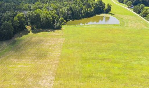 Photo of 12.16 Acre Homesite with Pond For Sale in Alamance County NC!
