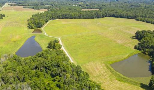 Photo of 12.16 Acre Homesite with Pond For Sale in Alamance County NC!