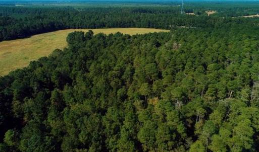 Photo of UNDER CONTRACT!!  18 Acres of  Timber and Hunting Land For Sale in Columbus County NC!