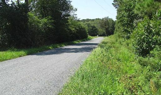 Photo of SOLD!!  36.5 Acres of Hunting Land for Sale in Accomack County Virginia!