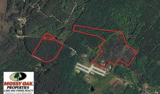 Photo of SOLD!!  36.5 Acres of Hunting Land for Sale in Accomack County Virginia!