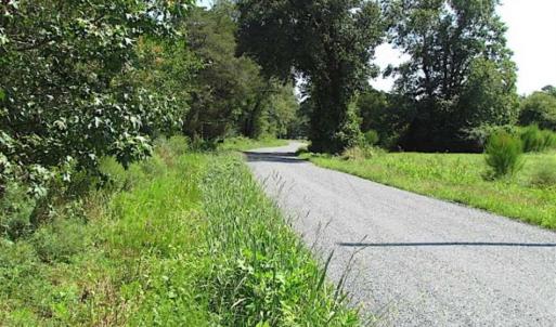 Photo of SOLD!!  36.5 Acres of Hunting Land for Sale in Accomack County Virginia!