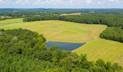 Photo of 10.01 Acre Homesite with Pond for Sale in Alamance County NC!