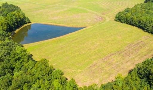 Photo of 10.01 Acre Homesite with Pond for Sale in Alamance County NC!