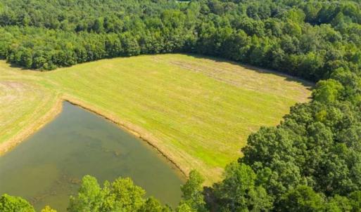 Photo of 10.01 Acre Homesite with Pond for Sale in Alamance County NC!