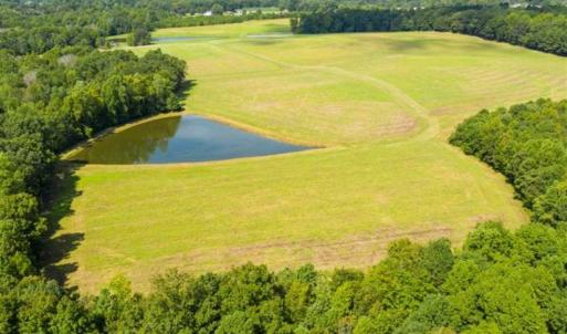Photo of 10.01 Acre Homesite with Pond for Sale in Alamance County NC!