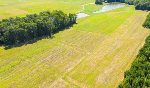 Photo of SOLD!!  10.03 Acre Homesite with Pond for Sale in Alamance County NC!