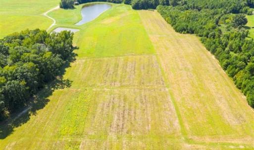 Photo of SOLD!!  10.03 Acre Homesite with Pond for Sale in Alamance County NC!