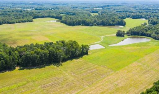 Photo of SOLD!!  10.03 Acre Homesite with Pond for Sale in Alamance County NC!