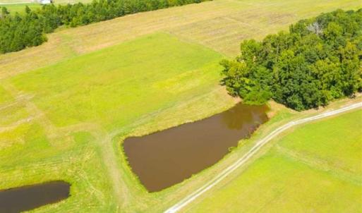Photo of SOLD!!  10.03 Acre Homesite with Pond for Sale in Alamance County NC!