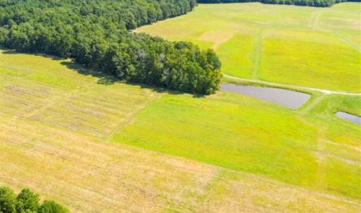 Photo of SOLD!!  10.03 Acre Homesite with Pond for Sale in Alamance County NC!