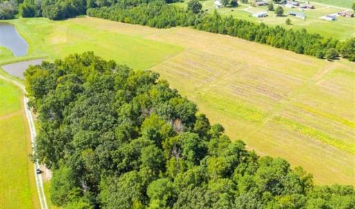Photo of SOLD!!  10.03 Acre Homesite with Pond for Sale in Alamance County NC!