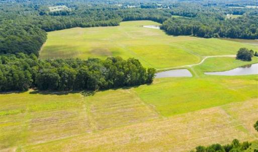 Photo of SOLD!!  10.03 Acre Homesite with Pond for Sale in Alamance County NC!