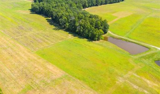 Photo of SOLD!!  10.03 Acre Homesite with Pond for Sale in Alamance County NC!