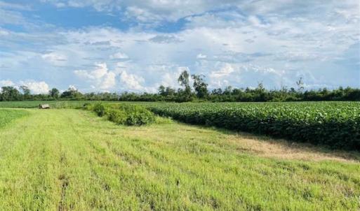 Photo of REDUCED! 177 Acres of Farm and Hunting Land For Sale in Nash County NC!