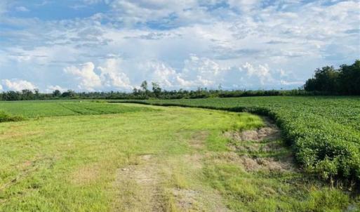Photo of REDUCED! 177 Acres of Farm and Hunting Land For Sale in Nash County NC!
