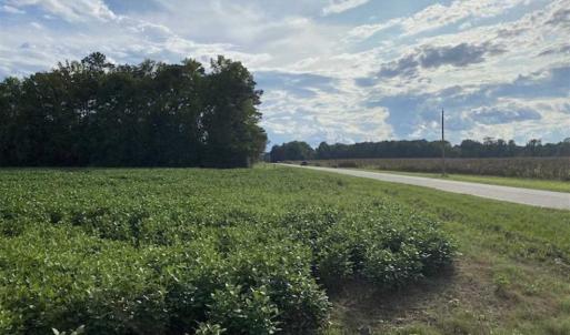 Photo of REDUCED! 177 Acres of Farm and Hunting Land For Sale in Nash County NC!