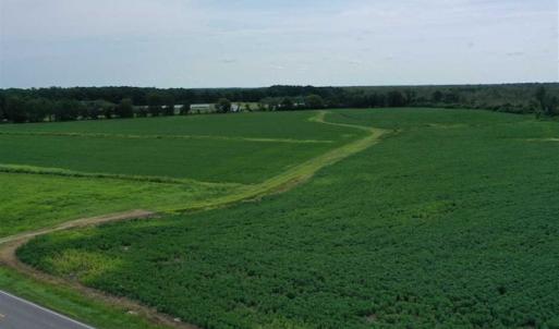 Photo of REDUCED! 177 Acres of Farm and Hunting Land For Sale in Nash County NC!