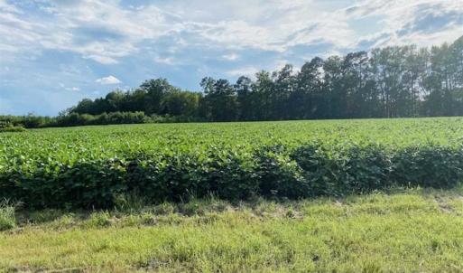 Photo of REDUCED! 177 Acres of Farm and Hunting Land For Sale in Nash County NC!