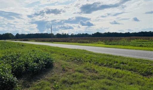 Photo of REDUCED! 177 Acres of Farm and Hunting Land For Sale in Nash County NC!