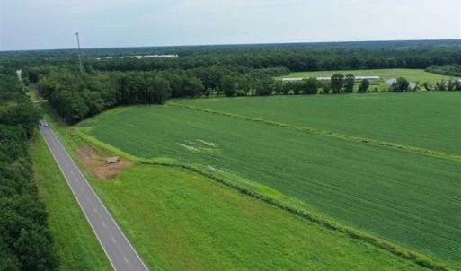Photo of REDUCED! 177 Acres of Farm and Hunting Land For Sale in Nash County NC!