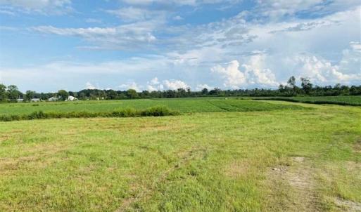 Photo of REDUCED! 177 Acres of Farm and Hunting Land For Sale in Nash County NC!