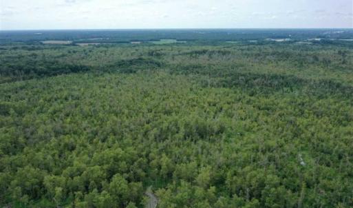 Photo of REDUCED! 177 Acres of Farm and Hunting Land For Sale in Nash County NC!