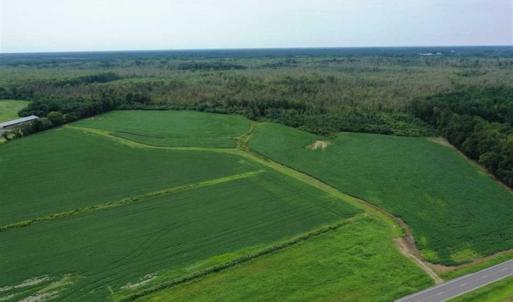 Photo of REDUCED! 177 Acres of Farm and Hunting Land For Sale in Nash County NC!