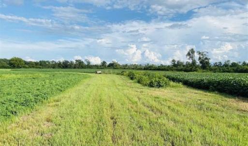 Photo of REDUCED! 177 Acres of Farm and Hunting Land For Sale in Nash County NC!