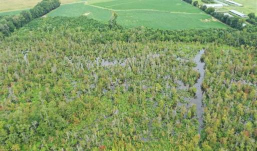 Photo of REDUCED! 177 Acres of Farm and Hunting Land For Sale in Nash County NC!