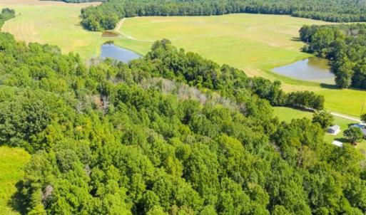 Photo of SOLD!!  10.01 Acre Homesite with Private Pond for Sale in Alamance County NC!