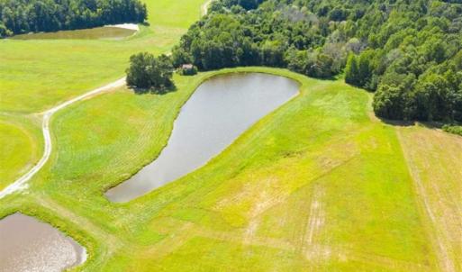 Photo of SOLD!!  10.01 Acre Homesite with Private Pond for Sale in Alamance County NC!