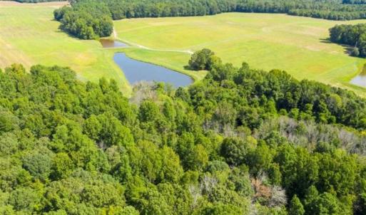 Photo of SOLD!!  10.01 Acre Homesite with Private Pond for Sale in Alamance County NC!
