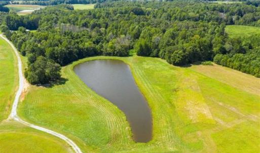 Photo of SOLD!!  10.01 Acre Homesite with Private Pond for Sale in Alamance County NC!