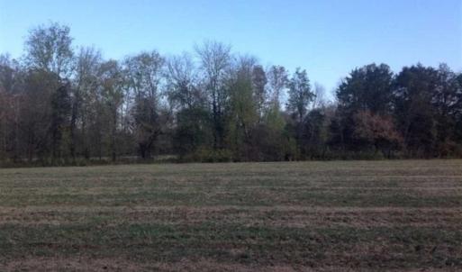 Photo of SOLD!!  36 Acres of Hunting Land for Sale in Halifax County VA!