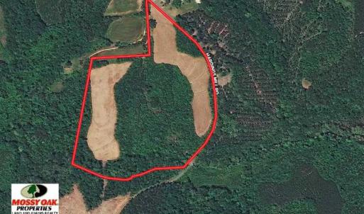 Photo of SOLD!!  36 Acres of Hunting Land for Sale in Halifax County VA!